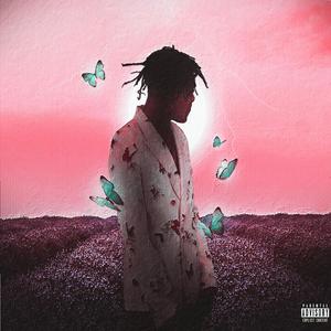 欧美成人手机视频
